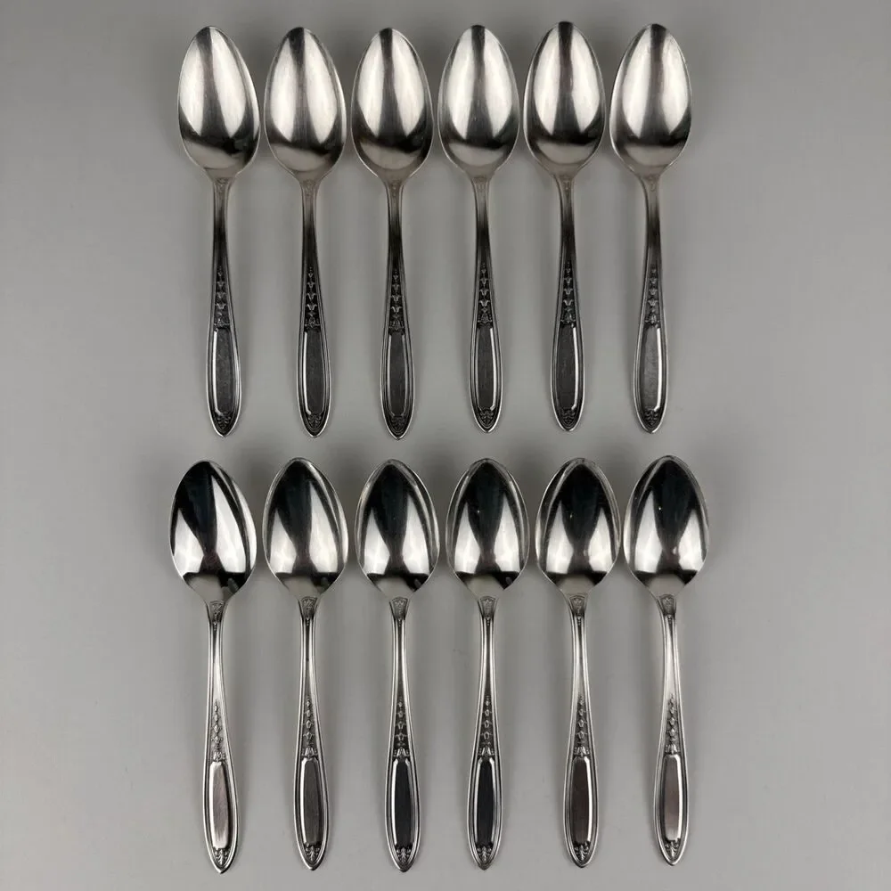 50-piece Set Tudor Plate Oneida Community Enchantment Bounty Silverware In Chest